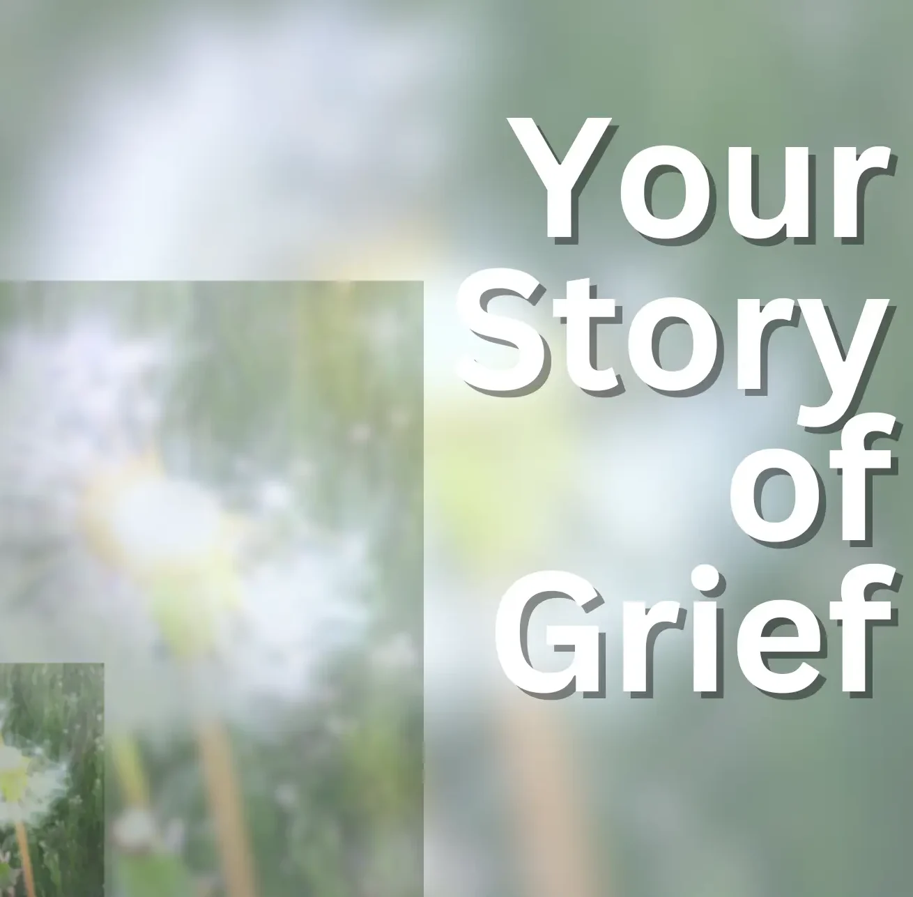 Your Story of Grief Program